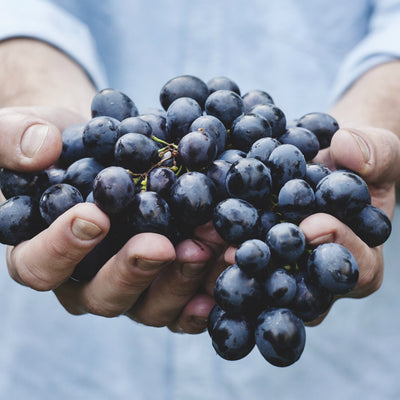 10 consejos para una vida más saludable