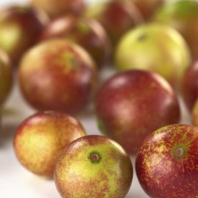 ¡Adios gripas con camu camu!